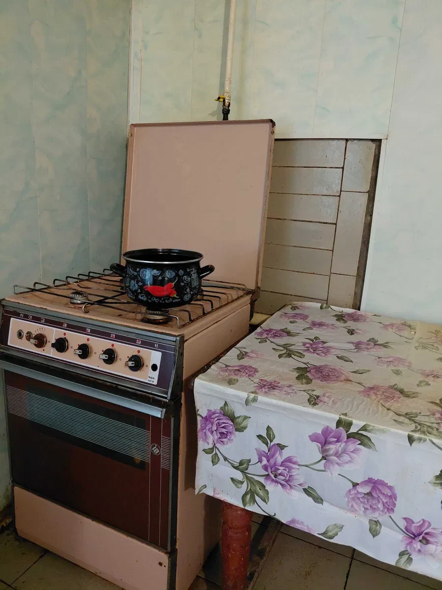 Будинок, Коломиці: 25 соток, гараж, власна свердловина, фото 5