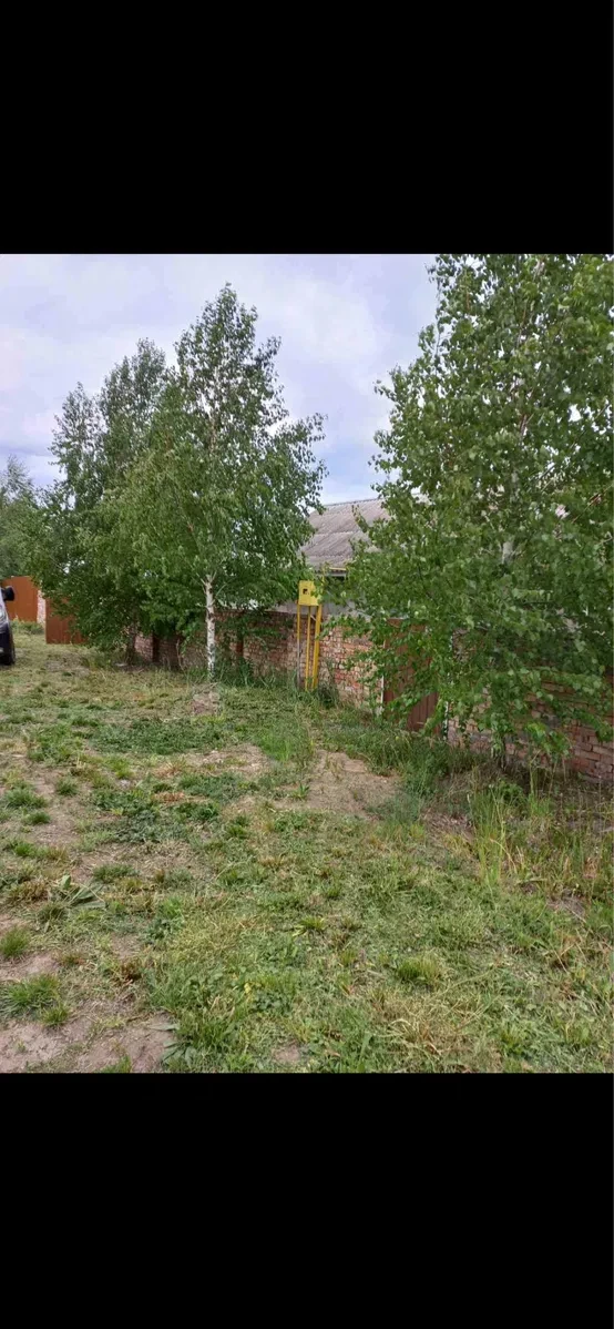 Будинок, Жилинці: 49 соток біля дому, 5 га під водойму, фото 2