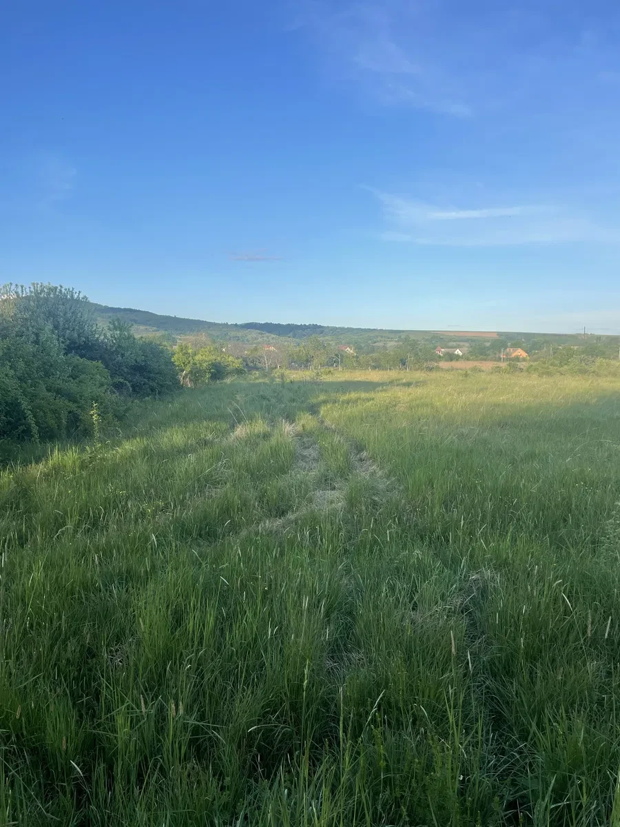 Ділянка 18.56 соток, Чертеж: житлова забудова, електрика й газ - фото 1