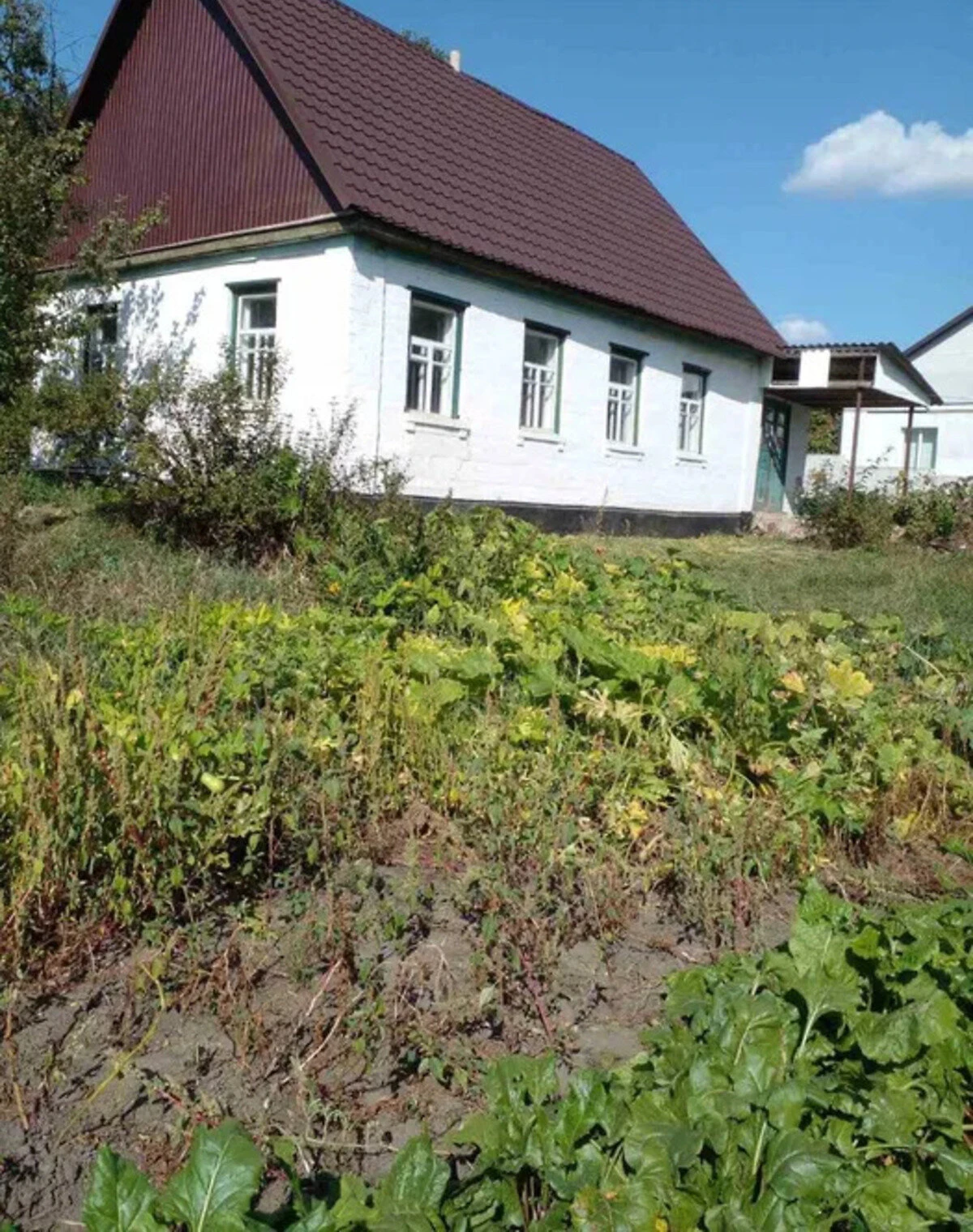 Будинок, Кам'янка: літня кухня, металочерепичний дах, фото 5