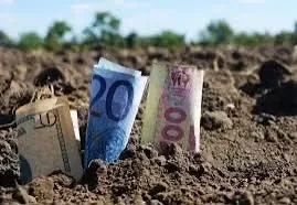 Ділянка 200 соток, Великокомарівка: ОСГ, пай, ще ділянки поруч - фото 3