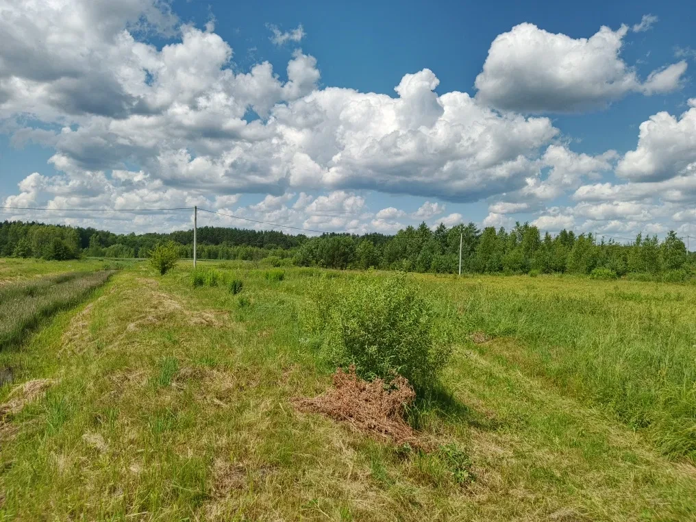 Ділянка 1760 соток, Немовичі: для будинків відпочинку, річка поруч