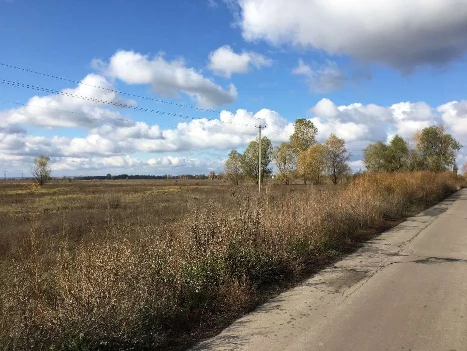 Ділянка 70 соток, Зазим'я: під забудову, фасад 71 м - фото 3