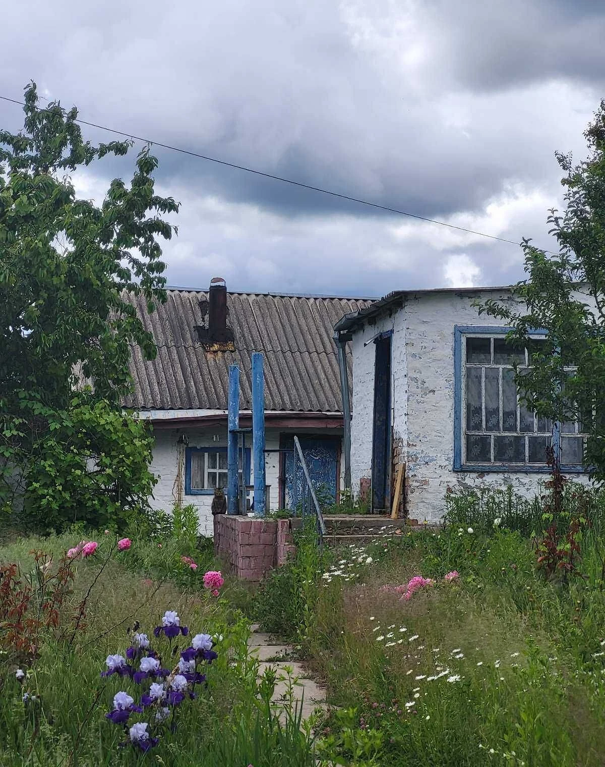 Дом, Студенец: веранда, кирпичные стены, фото 3