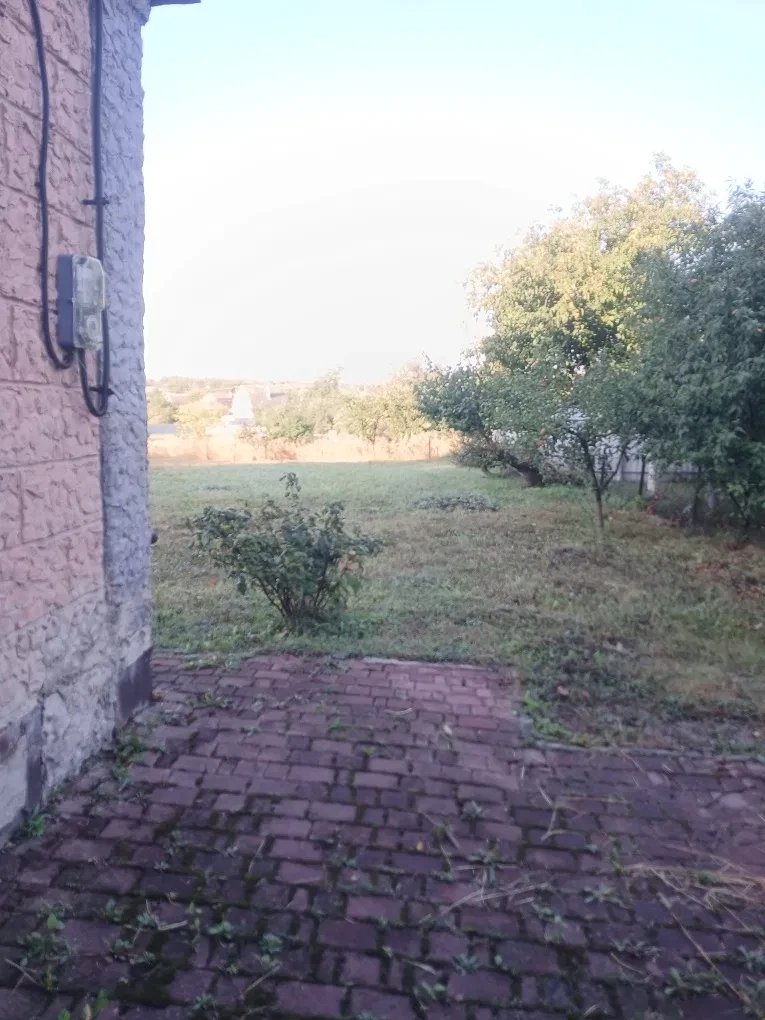 Дача, Садове: біля лісу, 6 соток, пічне опалення, фото 5