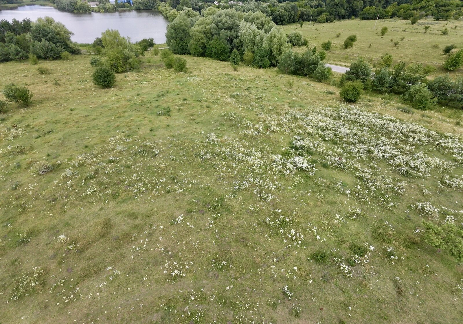 Участок 30 соток, Водички: под жилую застройку, природное озеро, фото 5