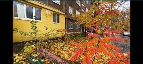 3-комнатная квартира, Даманский: для совместной аренды, без кроватей - фото 3