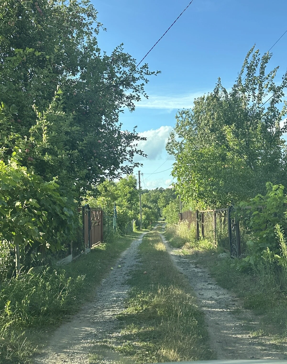 Ділянка 6 соток, Гаразджа: під житлову забудову, садове товариство - фото 3
