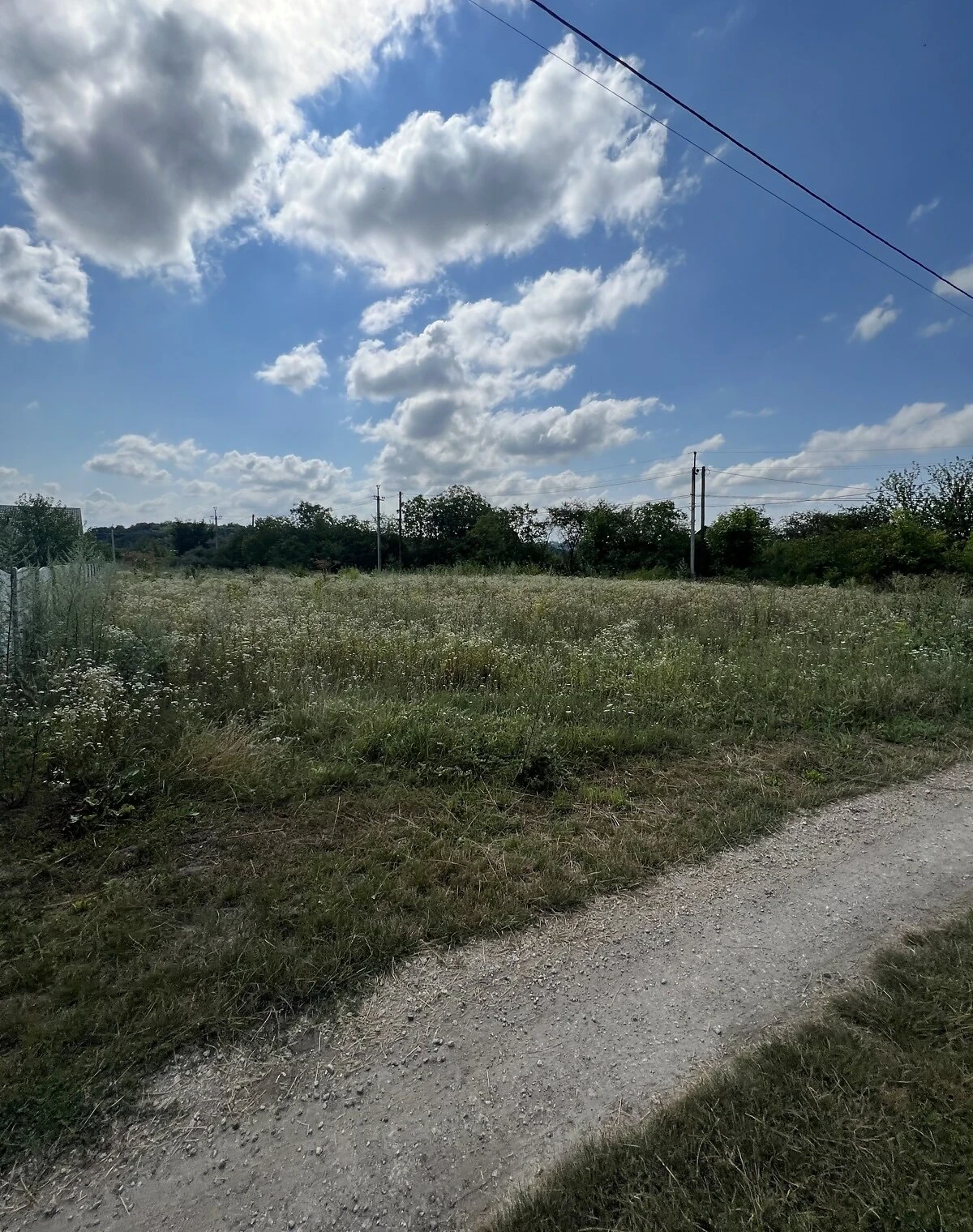Ділянка 14.81 соток, Гречани дальні: сад, рівнинний рельєф, чорнозем, фото 5
