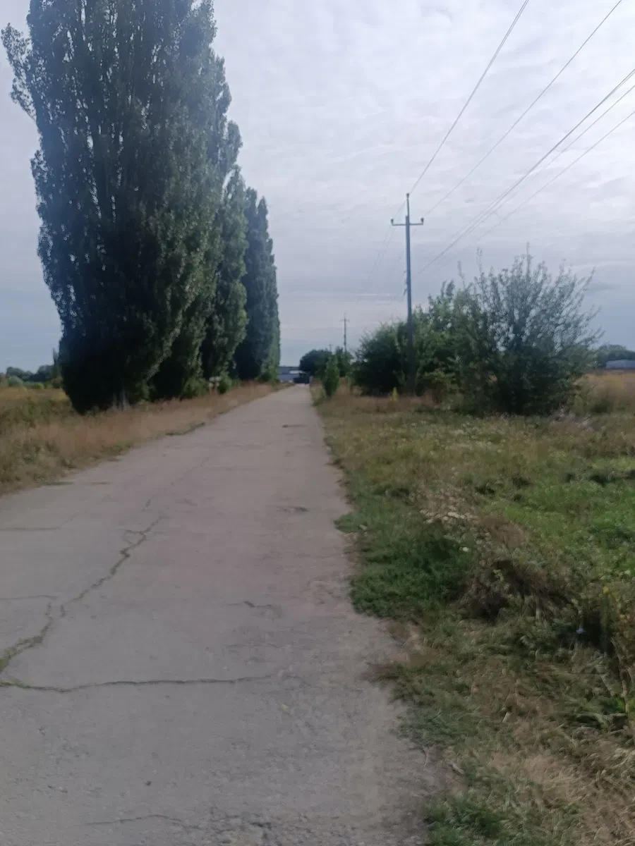 Ділянка 20 соток, Клавдієво-Тарасове: ОСГ, електрика, фото 4