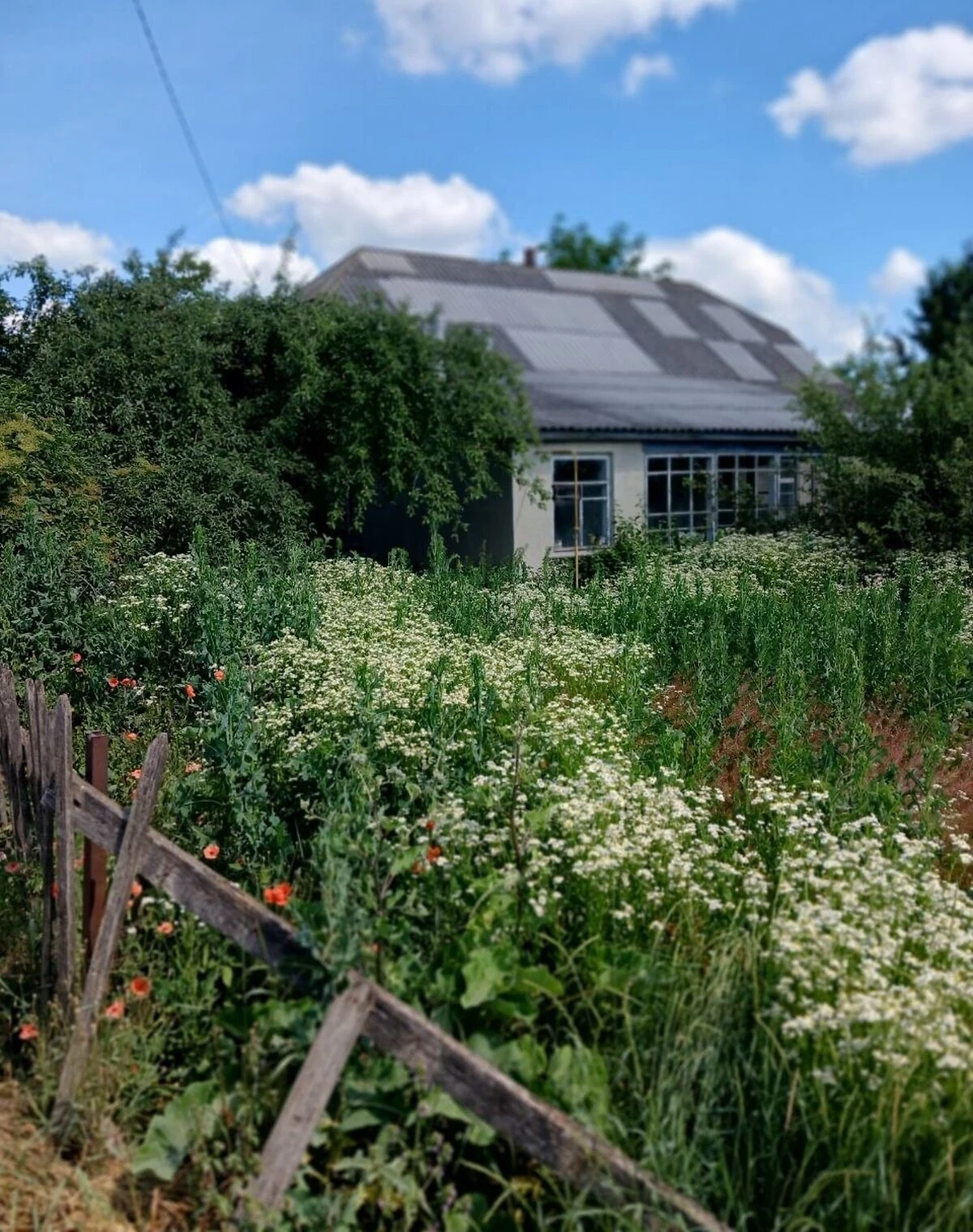 Дом, Городок: 9 соток, требует ремонта, фото 2