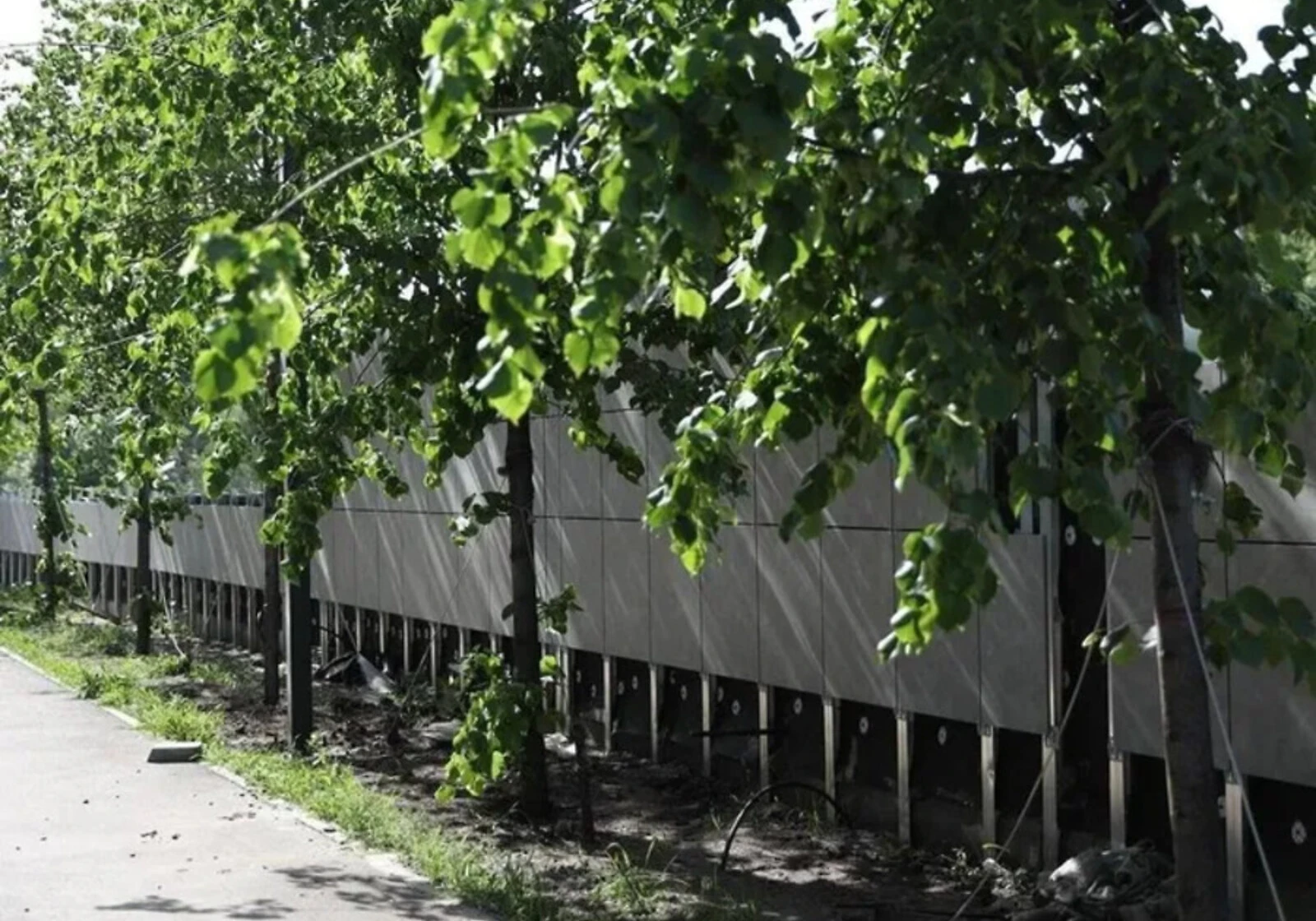 3-комнатная квартира, Шулявка: новостройка, фото 5