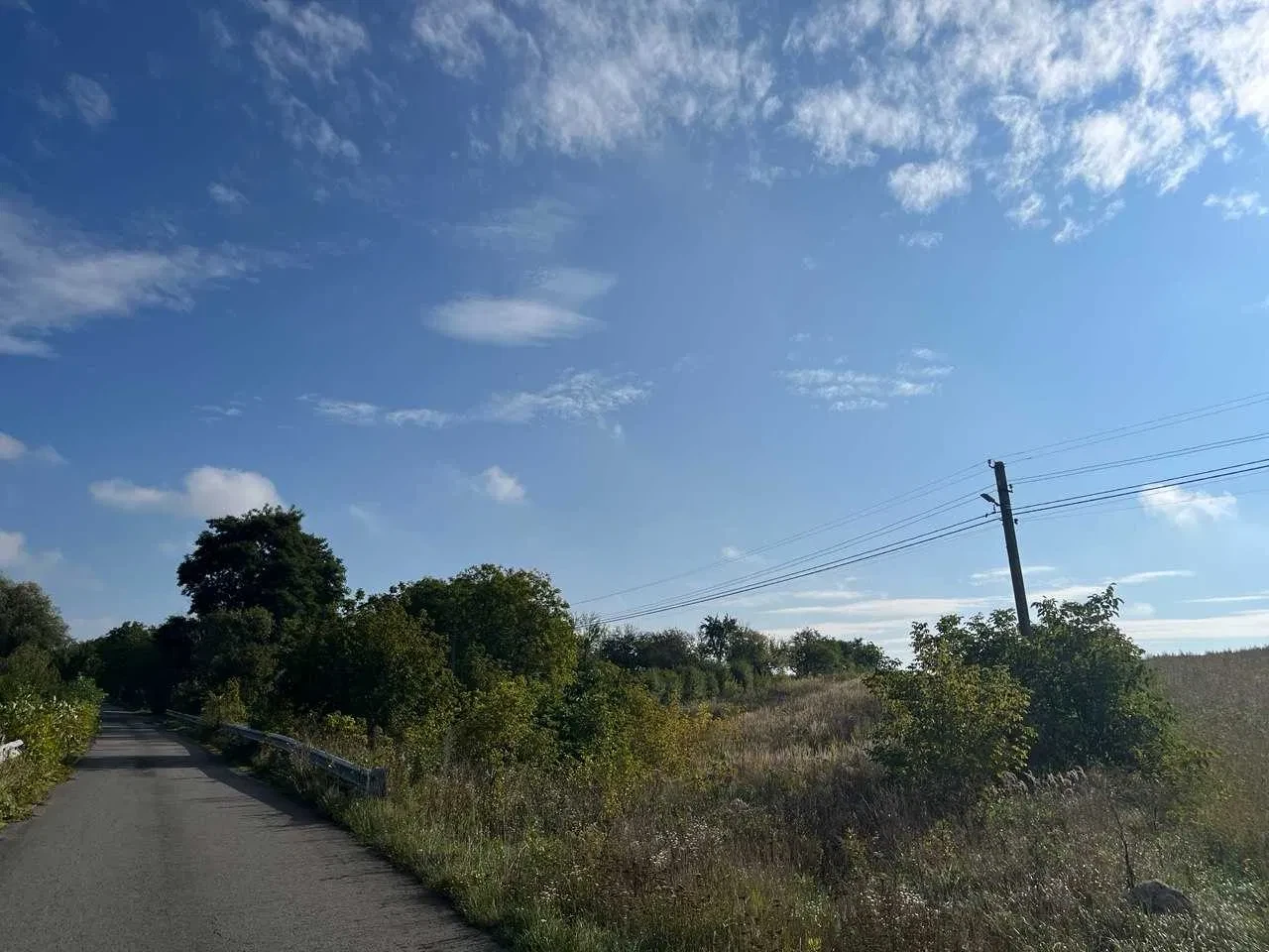 Ділянка 47 соток, Хутір: над трасою Київ-Чоп, фасад 37 м - фото 4