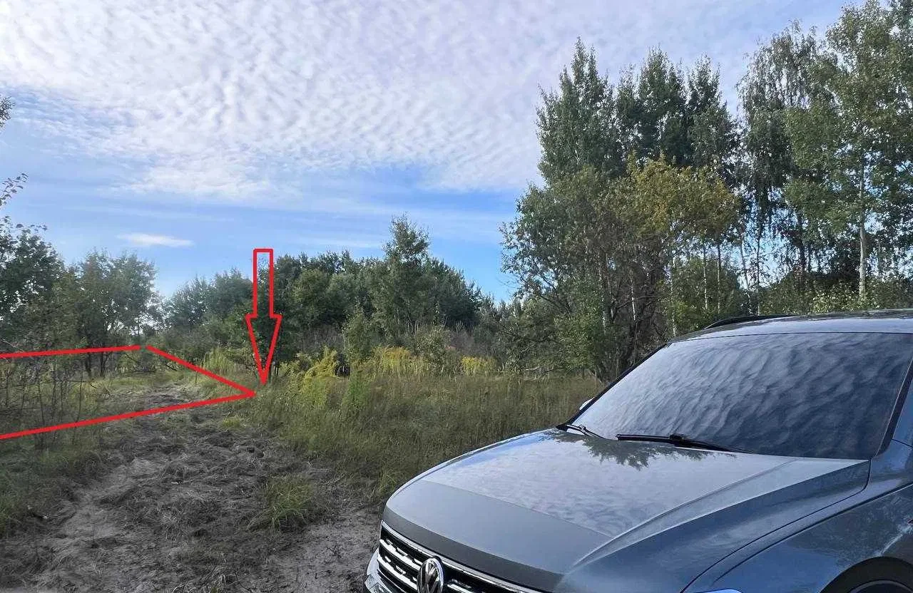 Ділянка 11 соток, Петрушки: під забудову, ліс і озеро, фото 4