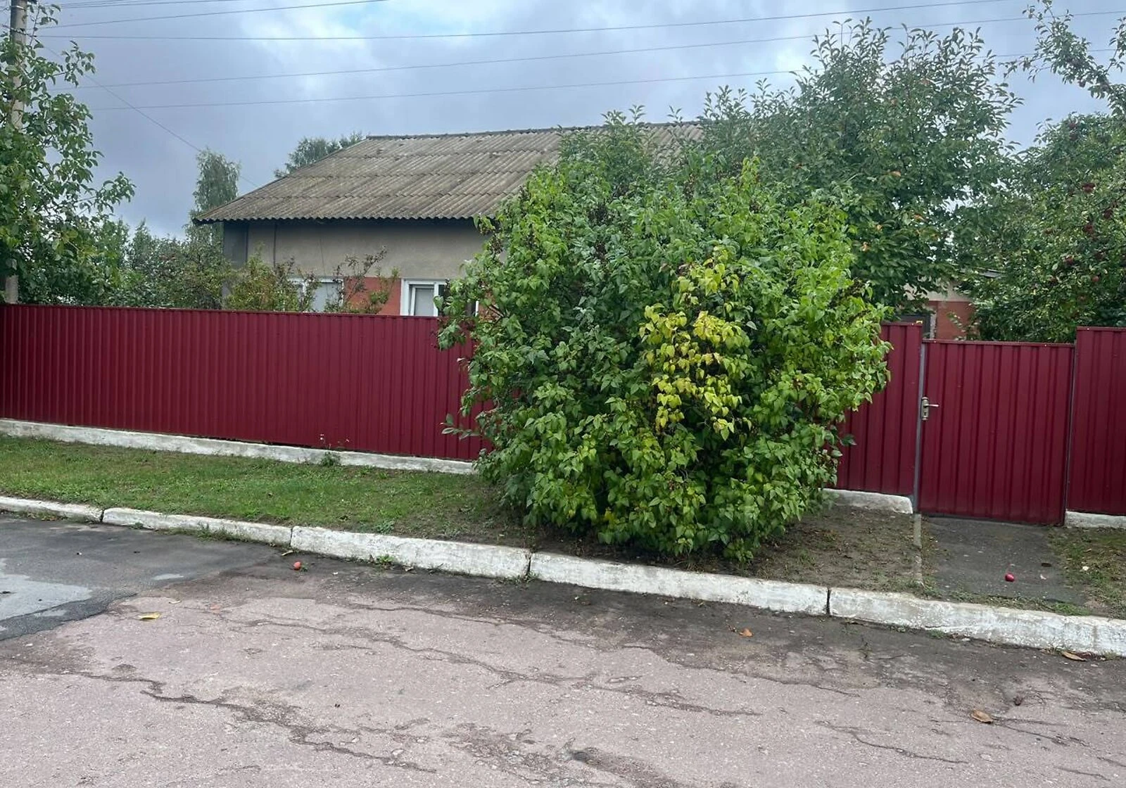 Будинок, Брусилів: гараж у дворі, газ під час відключень, фото 2