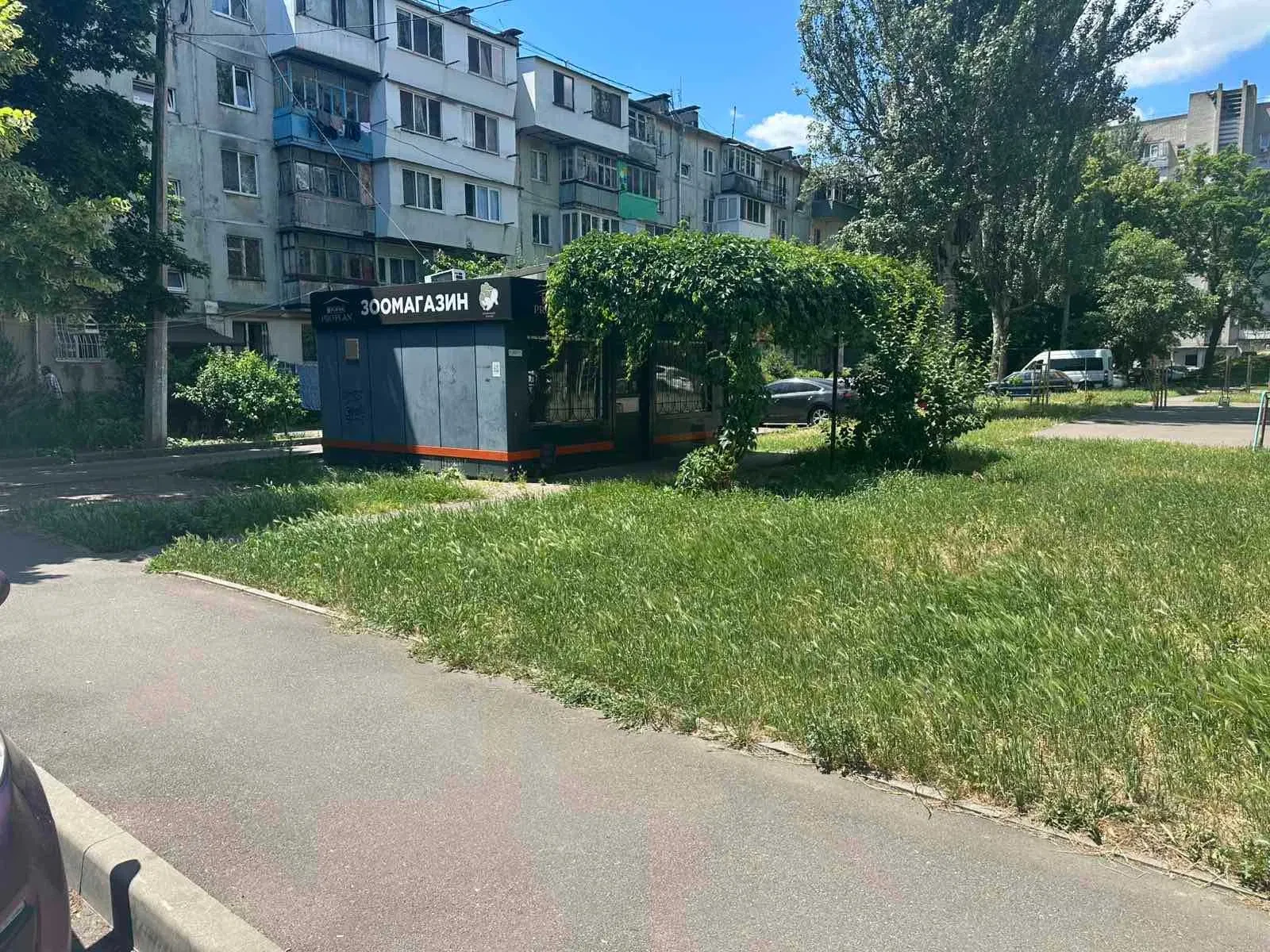 МАФ, Хаджибейський: під будь-який вид діяльності, можна перевезти - фото 3