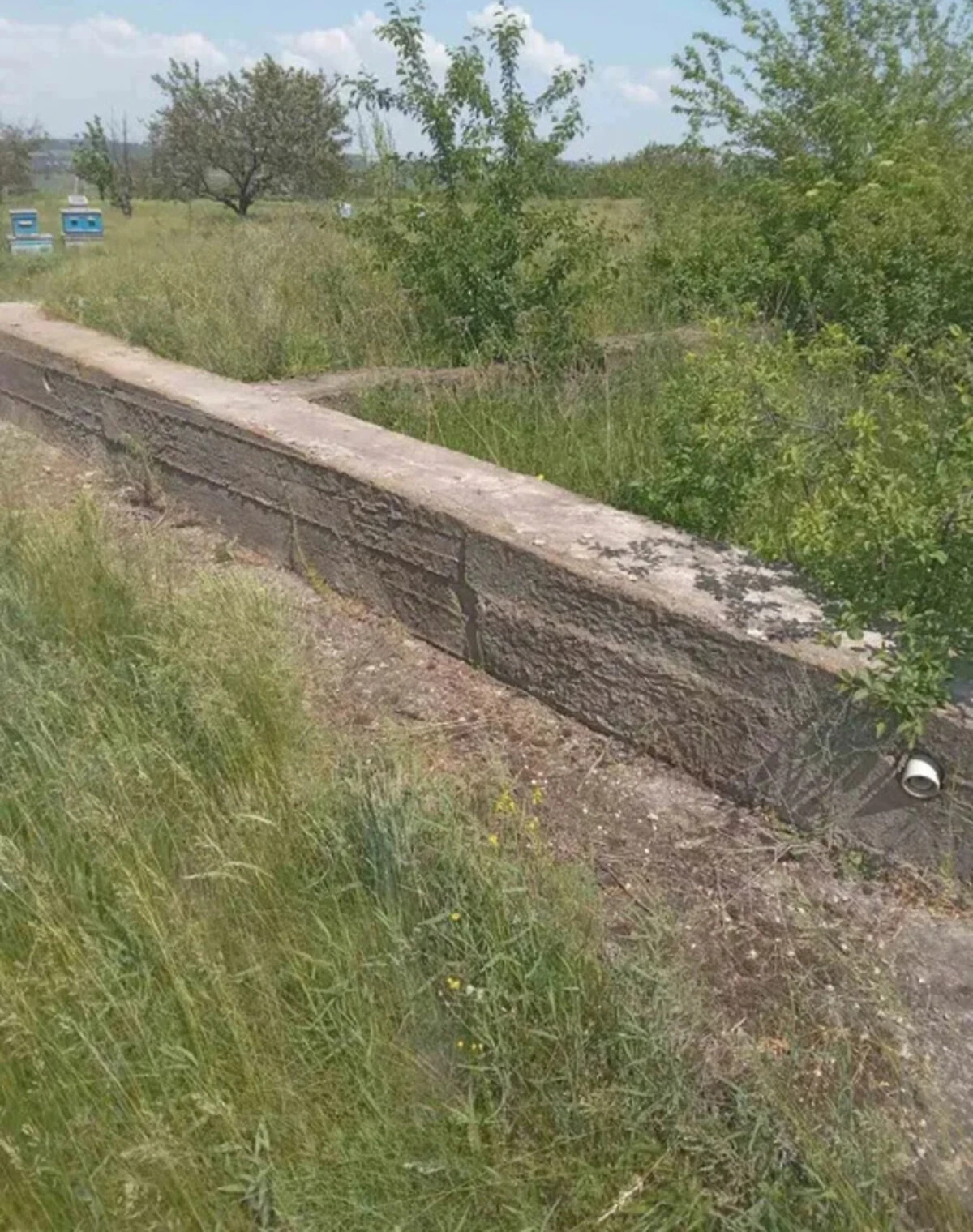 Ділянка 60 соток, Шевченківське: під житлову забудову, фундамент - фото 2