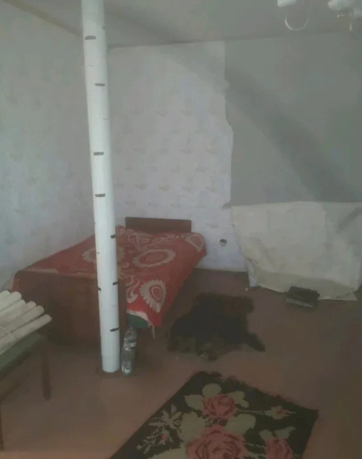 Дача, Миколаїв: 4 сотки, 2 поверхи, цегляні стіни - фото 5