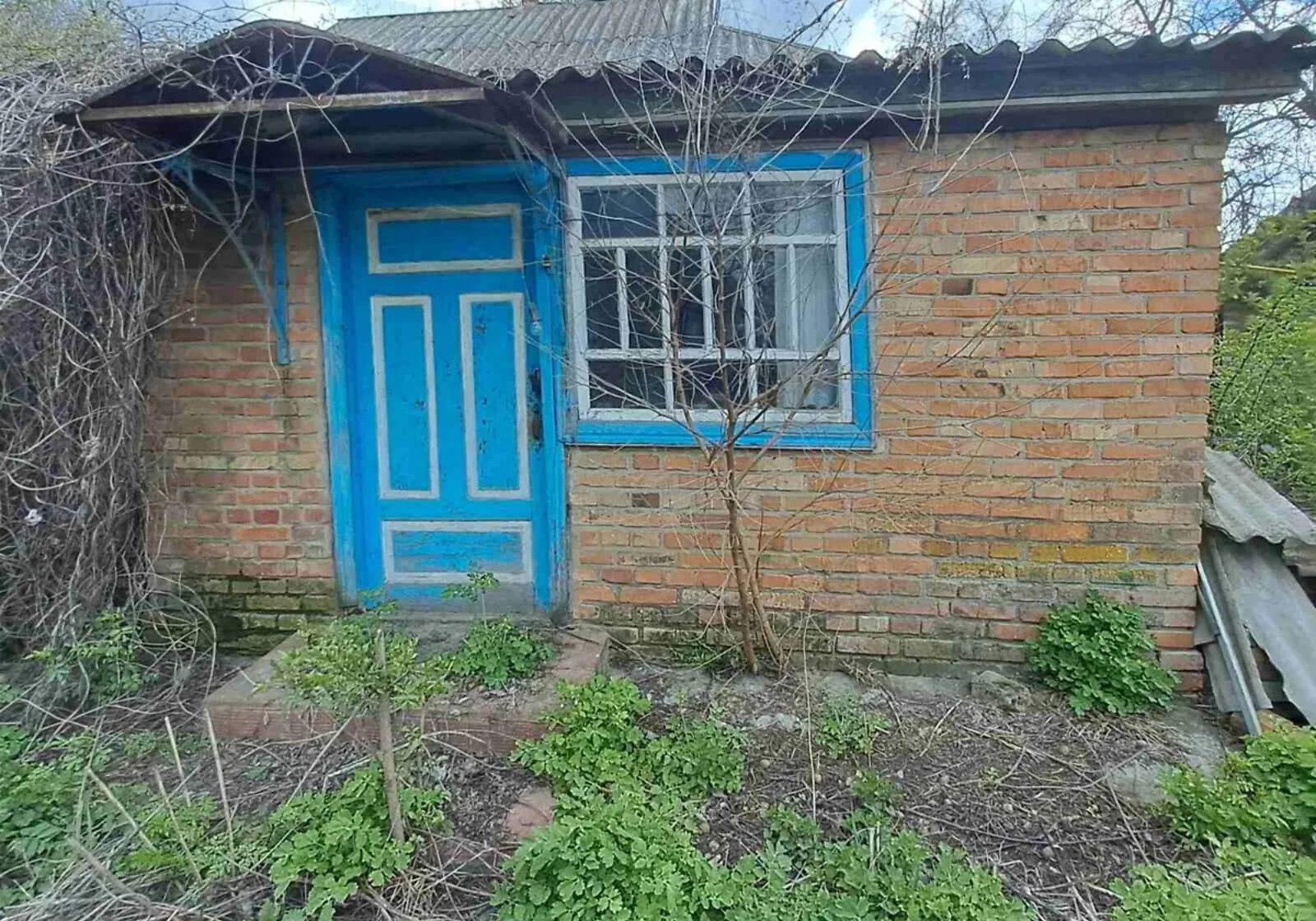 Дом, Андрияшовка: летняя кухня, кирпичные стены, фото 3