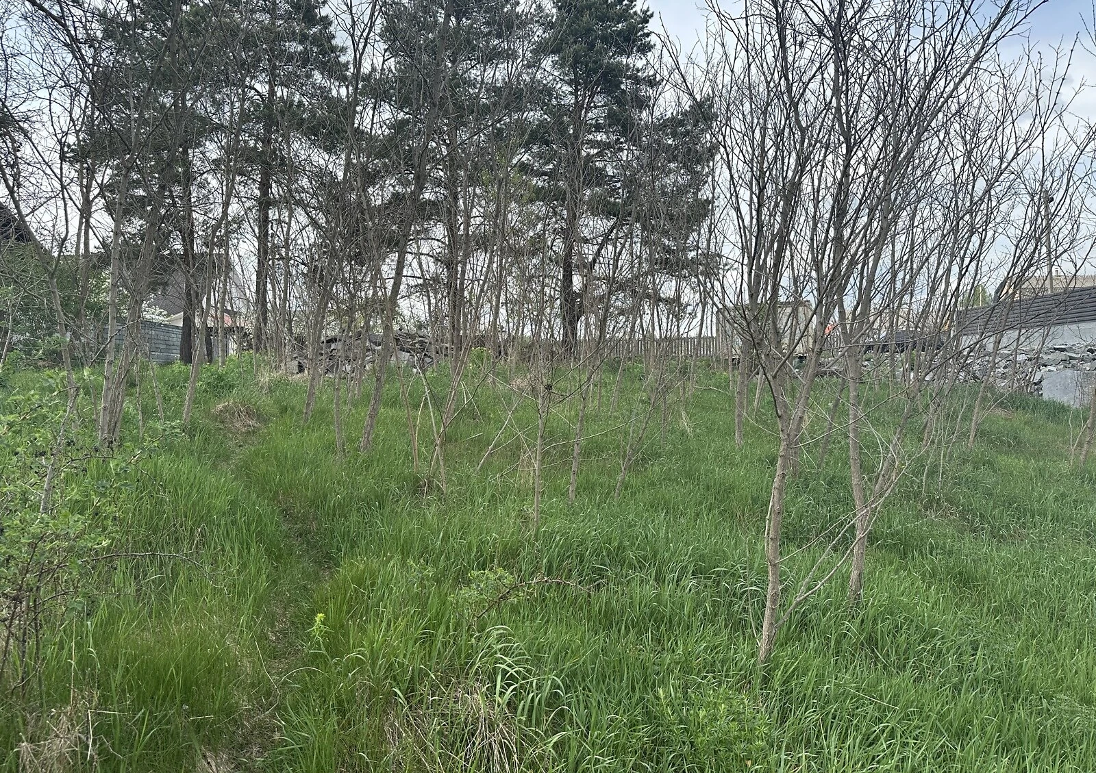 Земельна ділянка, Стрижівка: під житлову забудову, сад і фундамент - фото 5