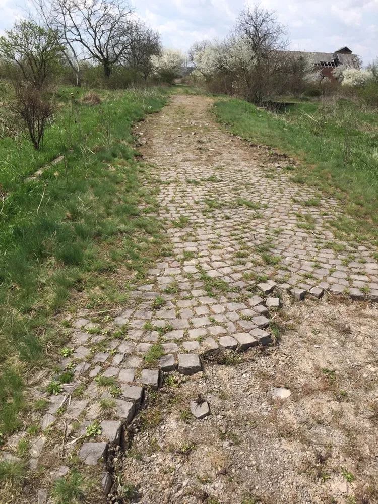 Участок 950 соток, Червенёво: асфальтированная дорога, газ и свет 100 м - фото 2