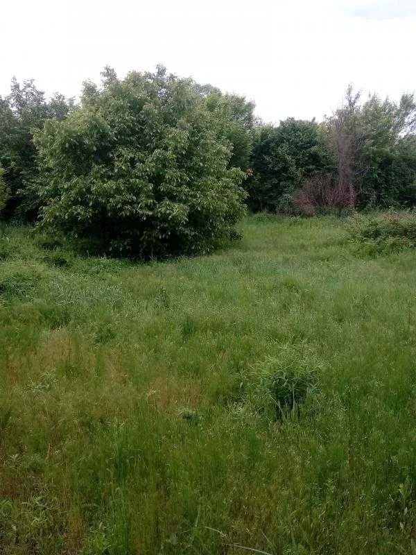 Будинок, Новобаварський: річка в кінці ділянки, торг