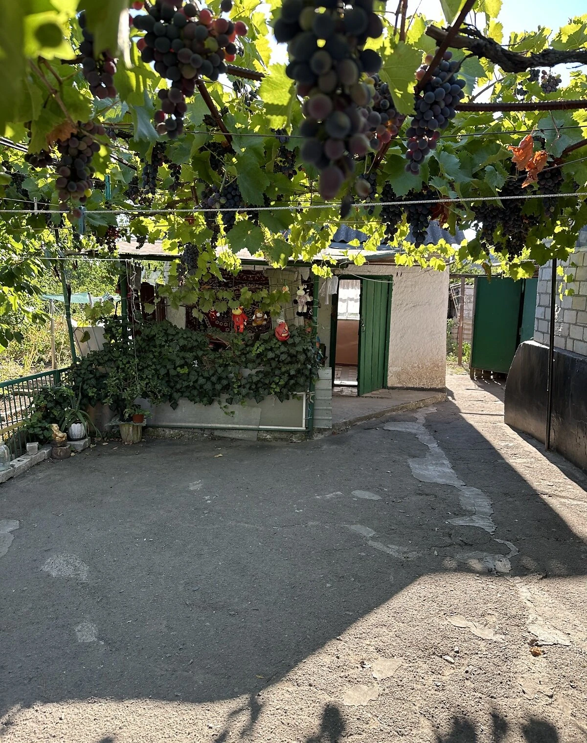 Будинок, Вільне: 24 сотки, літня кухня, індивідуальне опалення, фото 2