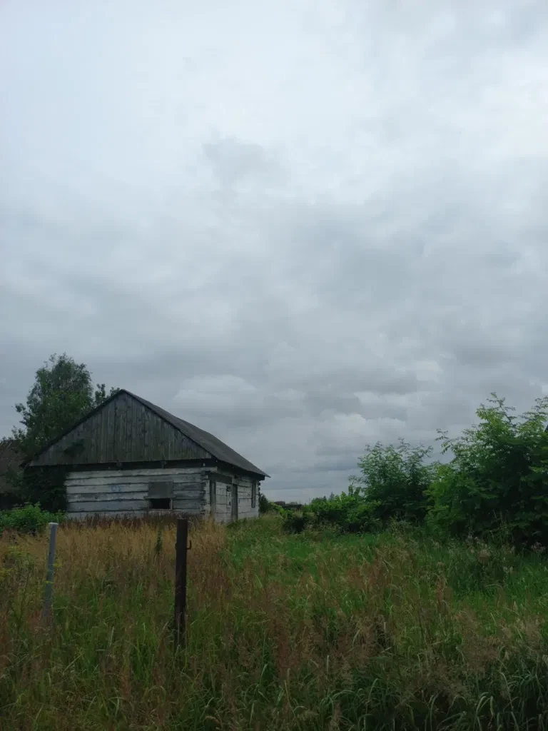 Ділянка 15 соток, Луків: каркас дерев'яного будинку, поруч ліс - фото 3