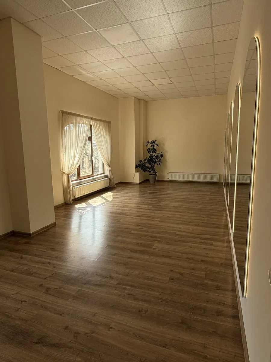 Зала, Приморський: світло завжди, арочні дзеркала, погодинна оренда - фото 4