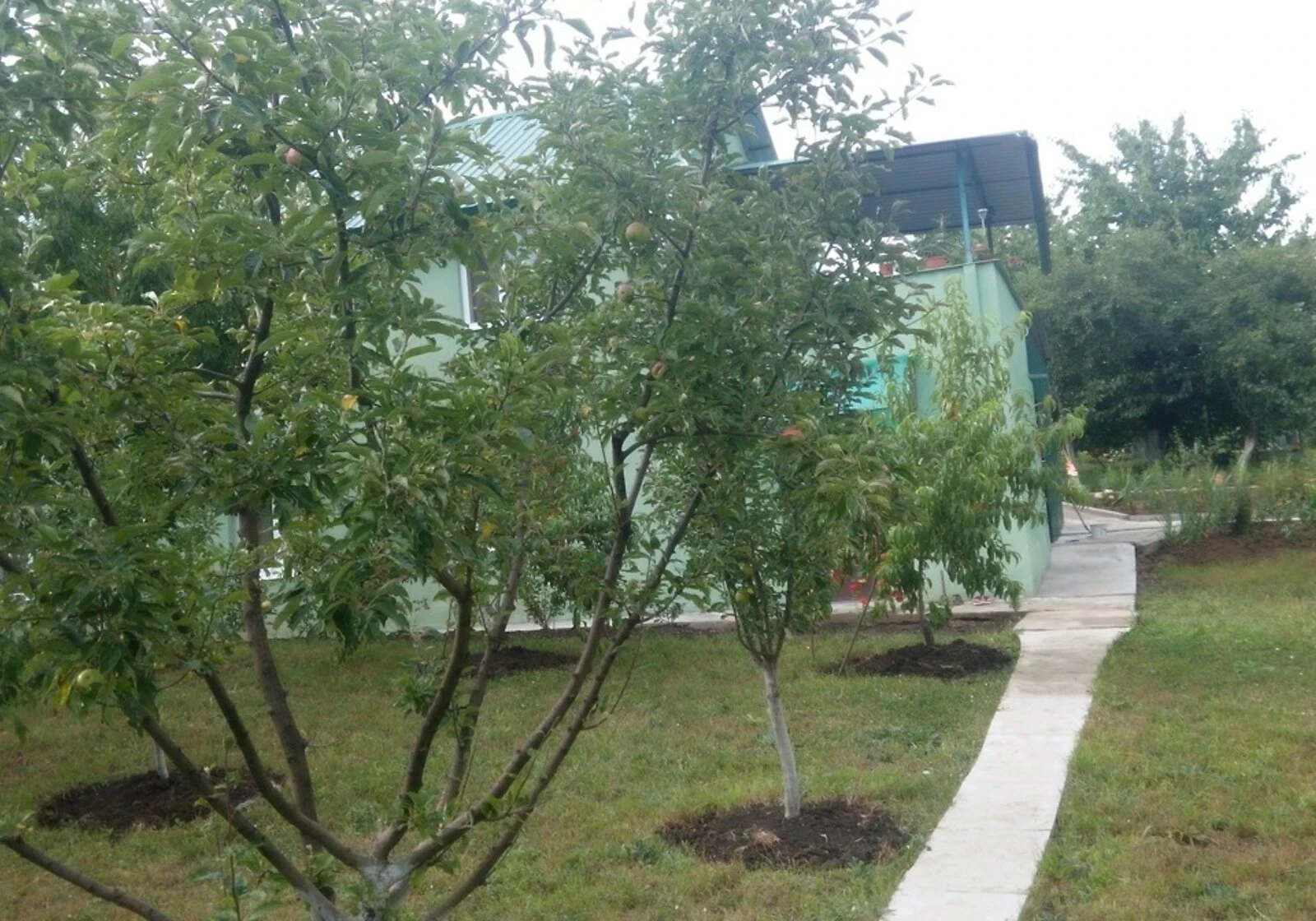Будинок, Велика Слобідка: 18 соток, гараж, мансарда - фото 5