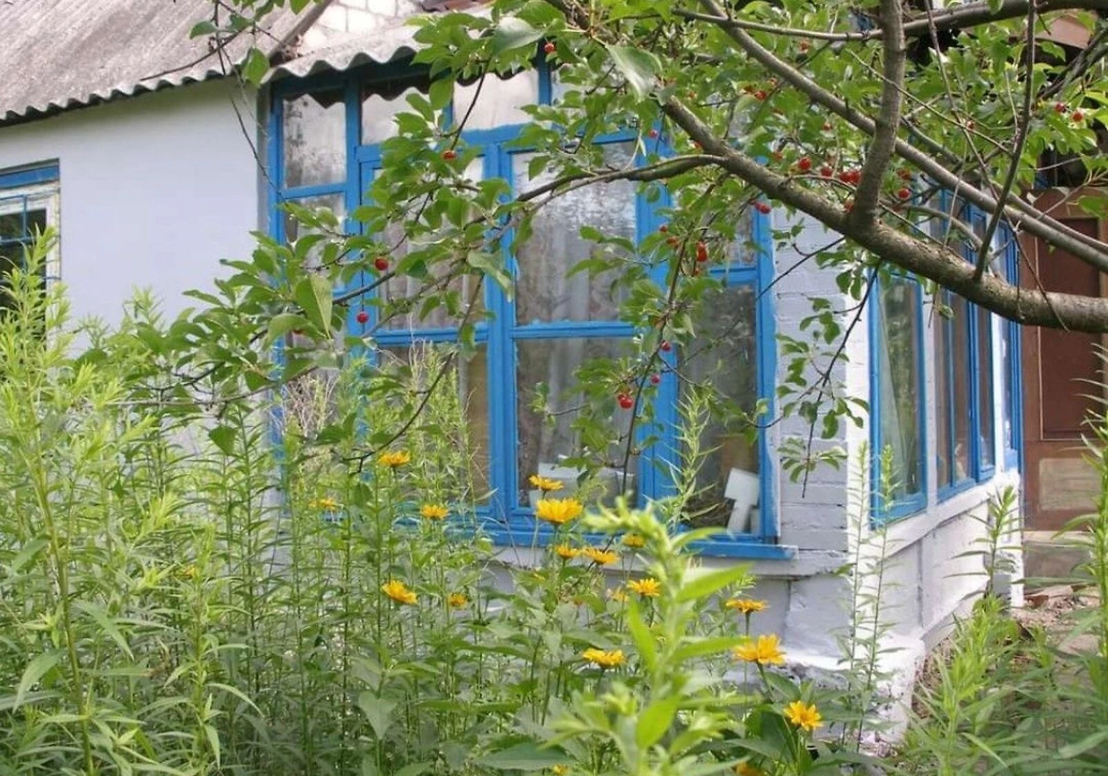 Дача, Введенка: веранда, 12 соток, гараж із підвалом - фото 1