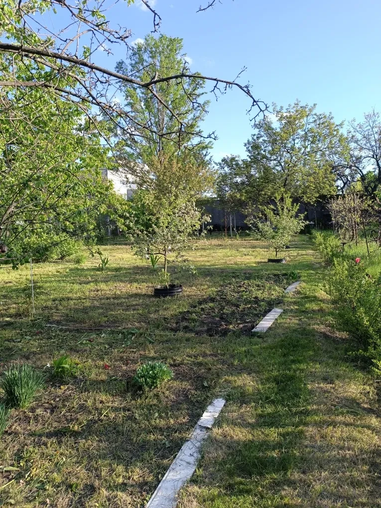 Ділянка 5 соток, Дороге: вода цілий рік, торг, фото 4