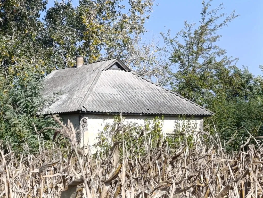 Будинок, Виповзки: 44 сотки, під реконструкцію, фото 3