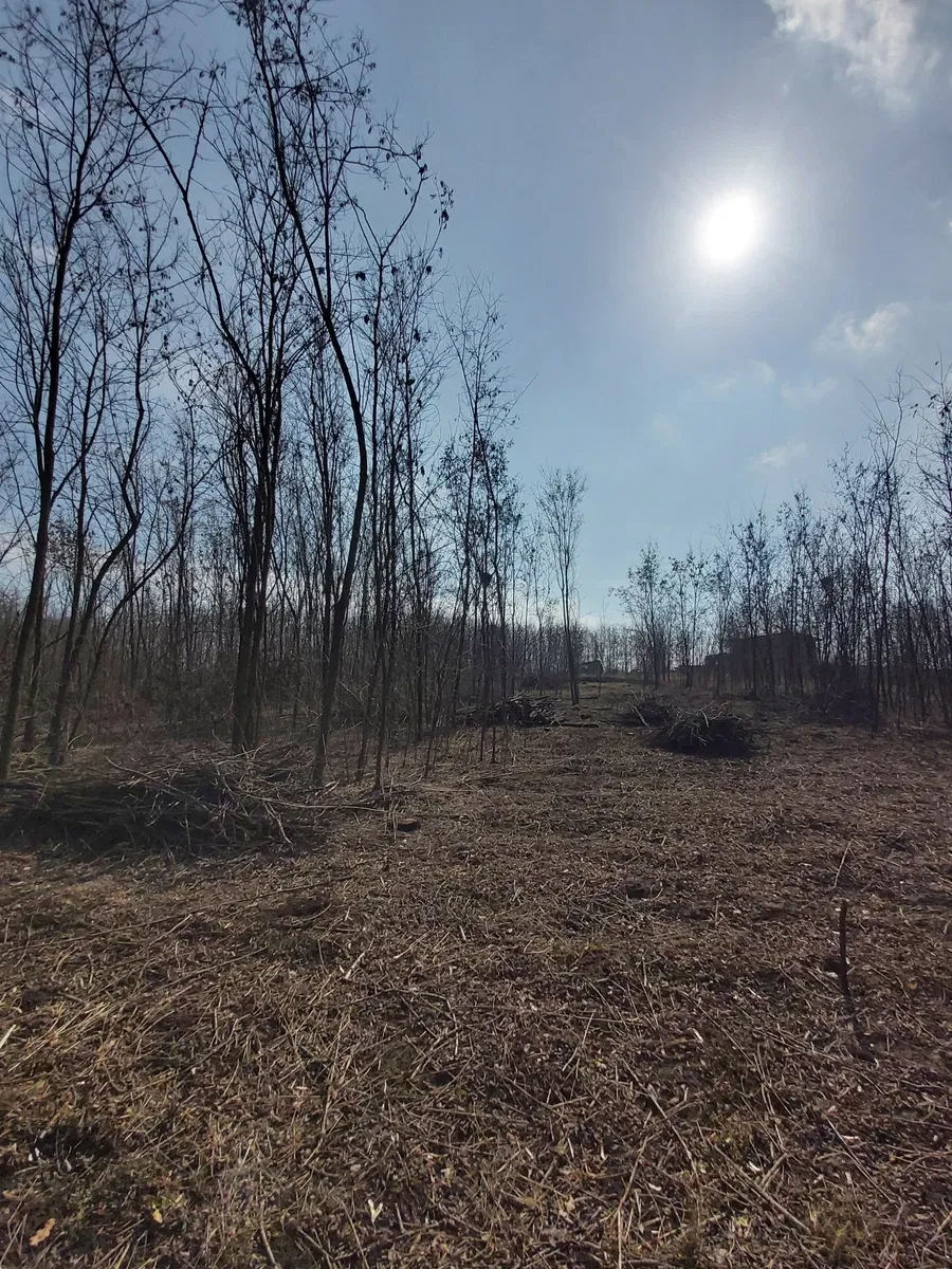 Ділянка 12 соток, Київський: під забудову, ліс і озеро