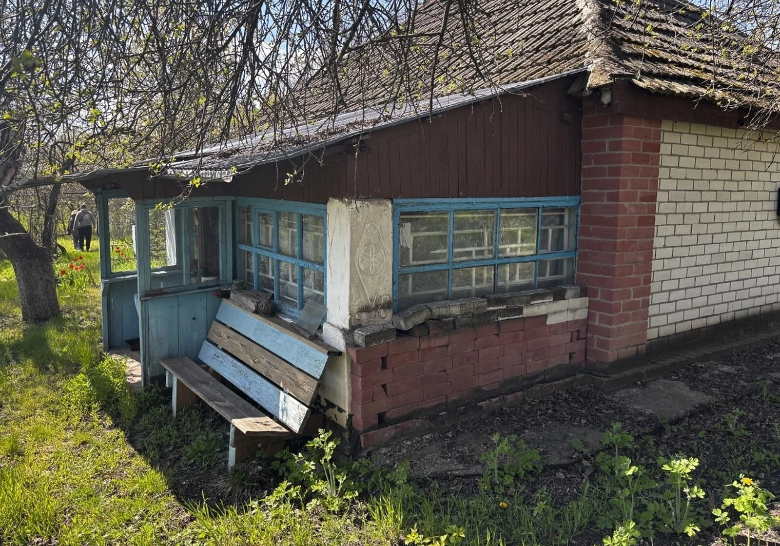 Дача, Сухая Солоница: участок 23 сотки, сад и хозпостройки, фото 4