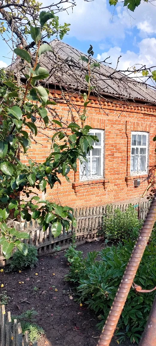 Дом, Болеславчик: бассейн, 30 соток, газовое отопление, фото 3