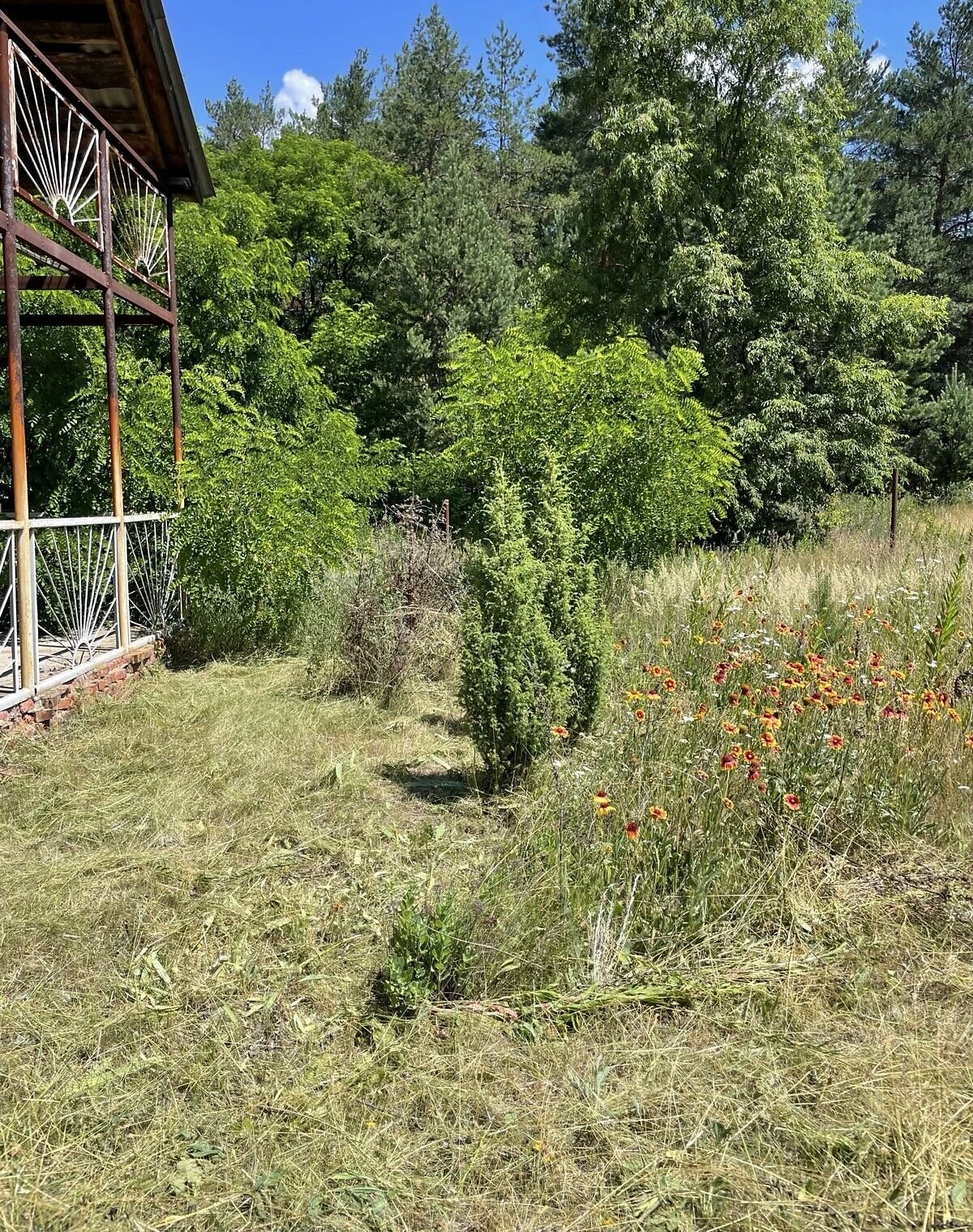 Будинок, Пилівка: дача, ділянка 12 соток, фото 5