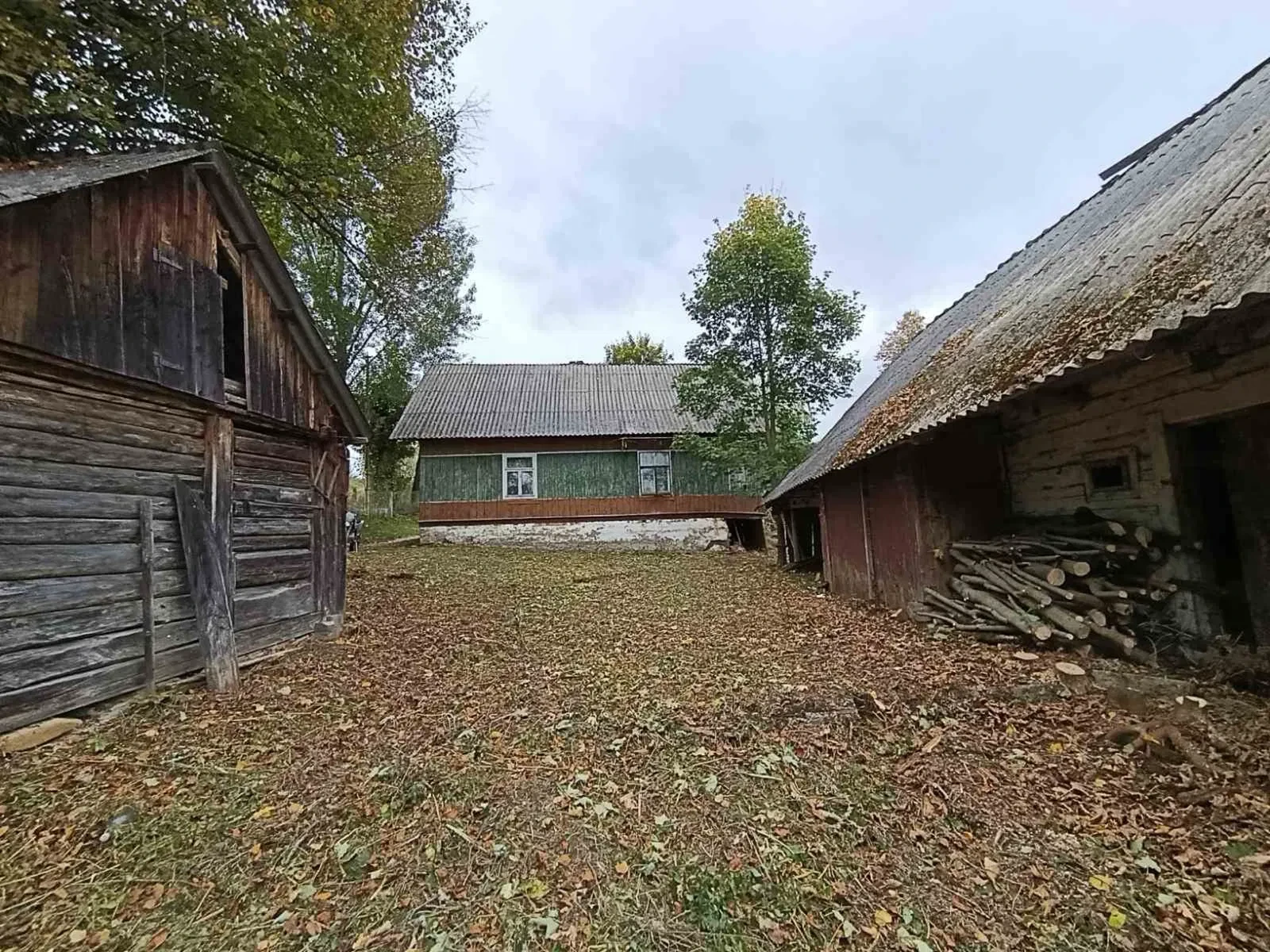 Дача, Хащів: цілий дах, торг, фото 3