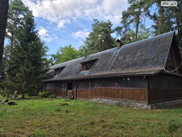 Приміщення, Селище (Гнівань): окрема будівля, гараж, торг - фото 3