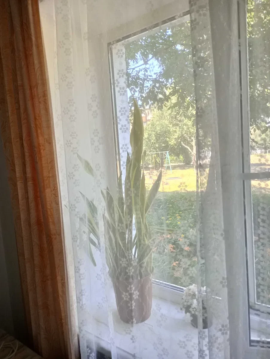 2-кімнатна квартира, Сміла: роздільний санвузол, цегляний будинок - фото 3