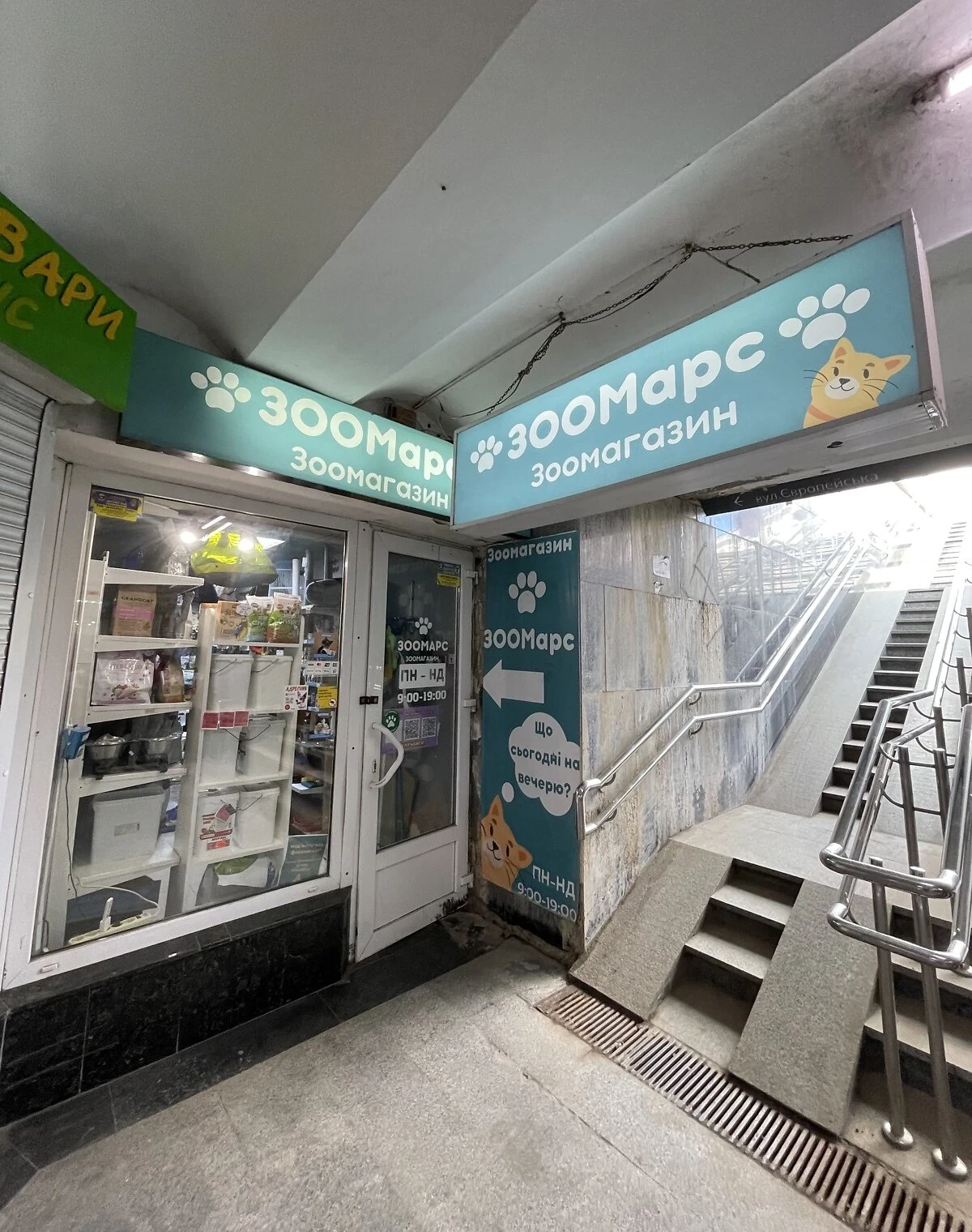 Спеціальне приміщення, Центр: зоомагазин, укриття в будинку - фото 1