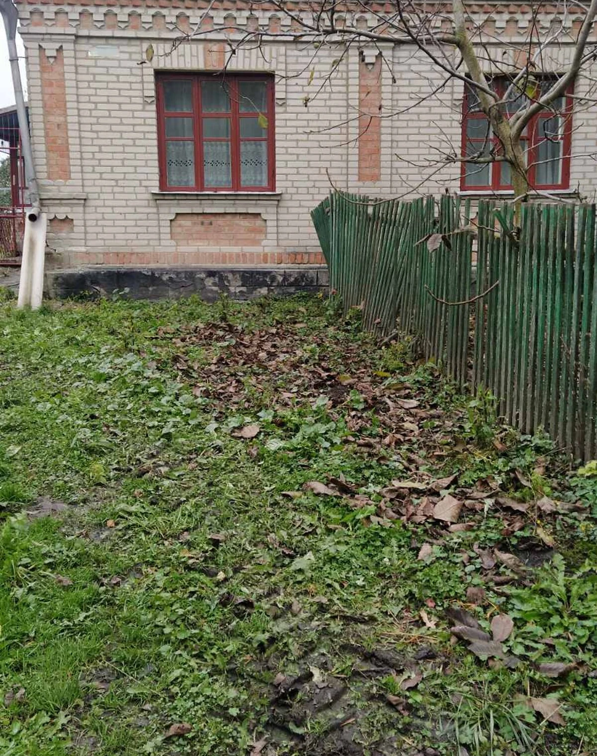Будинок, Сальниця: криниця, літня кухня