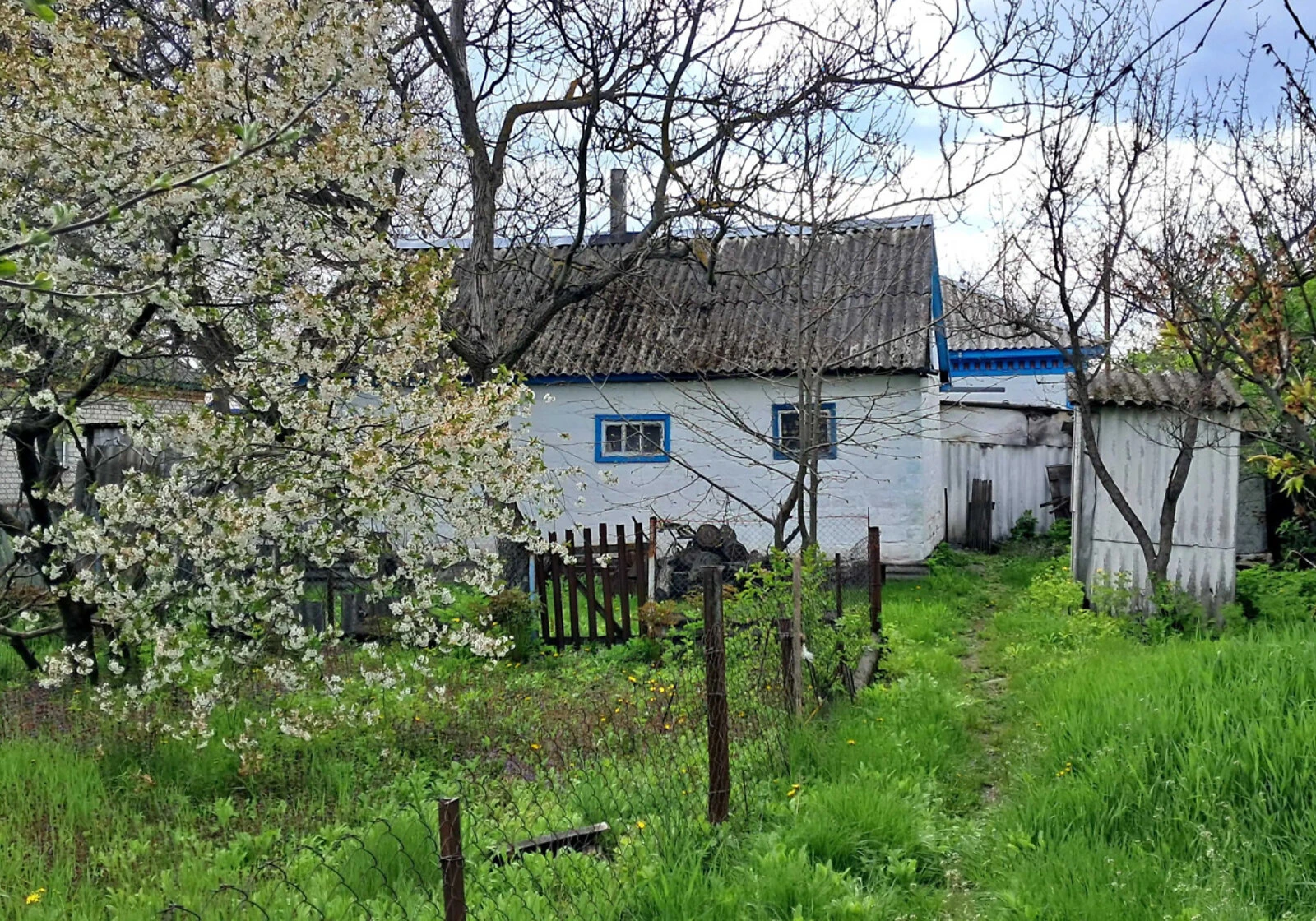 Будинок, Дмитрівка (Горішні плавні): сад, літня кухня, город, фото 5