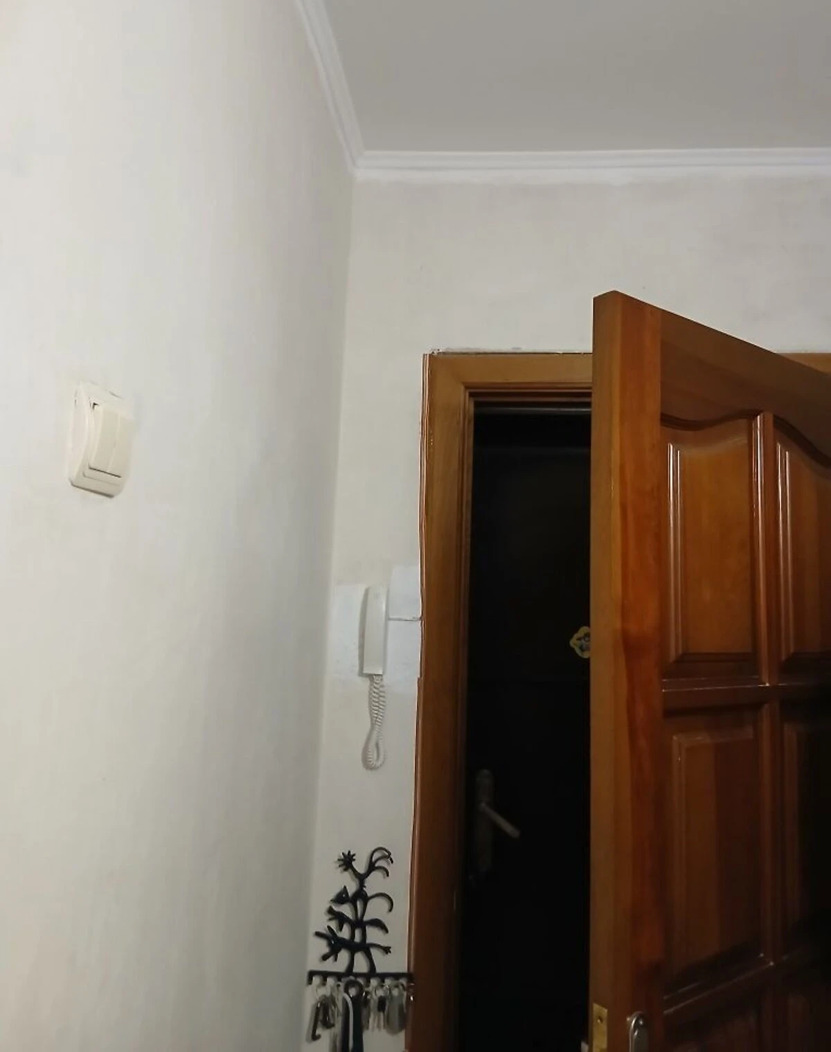1-кімнатна квартира, Кременчук: косметичний ремонт - фото 2