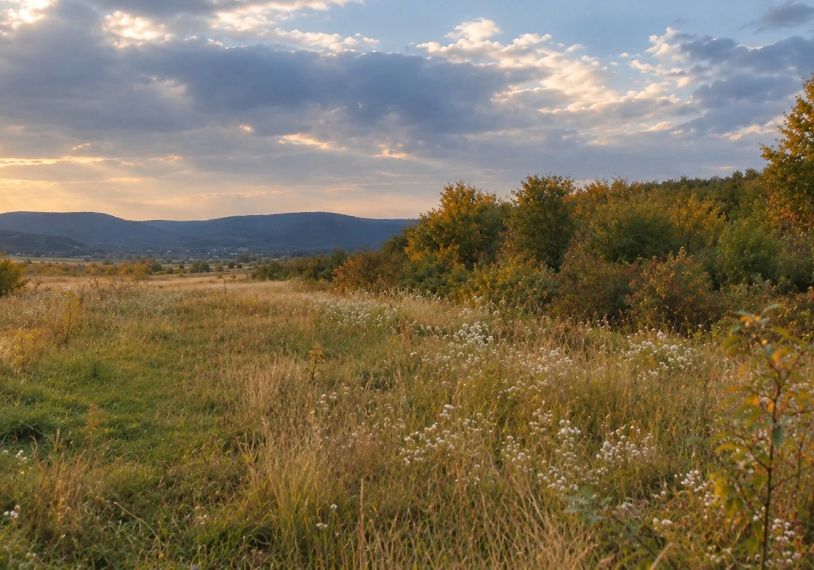 Участок 15 соток, Косино: природное озеро, электричество и газ - фото 3