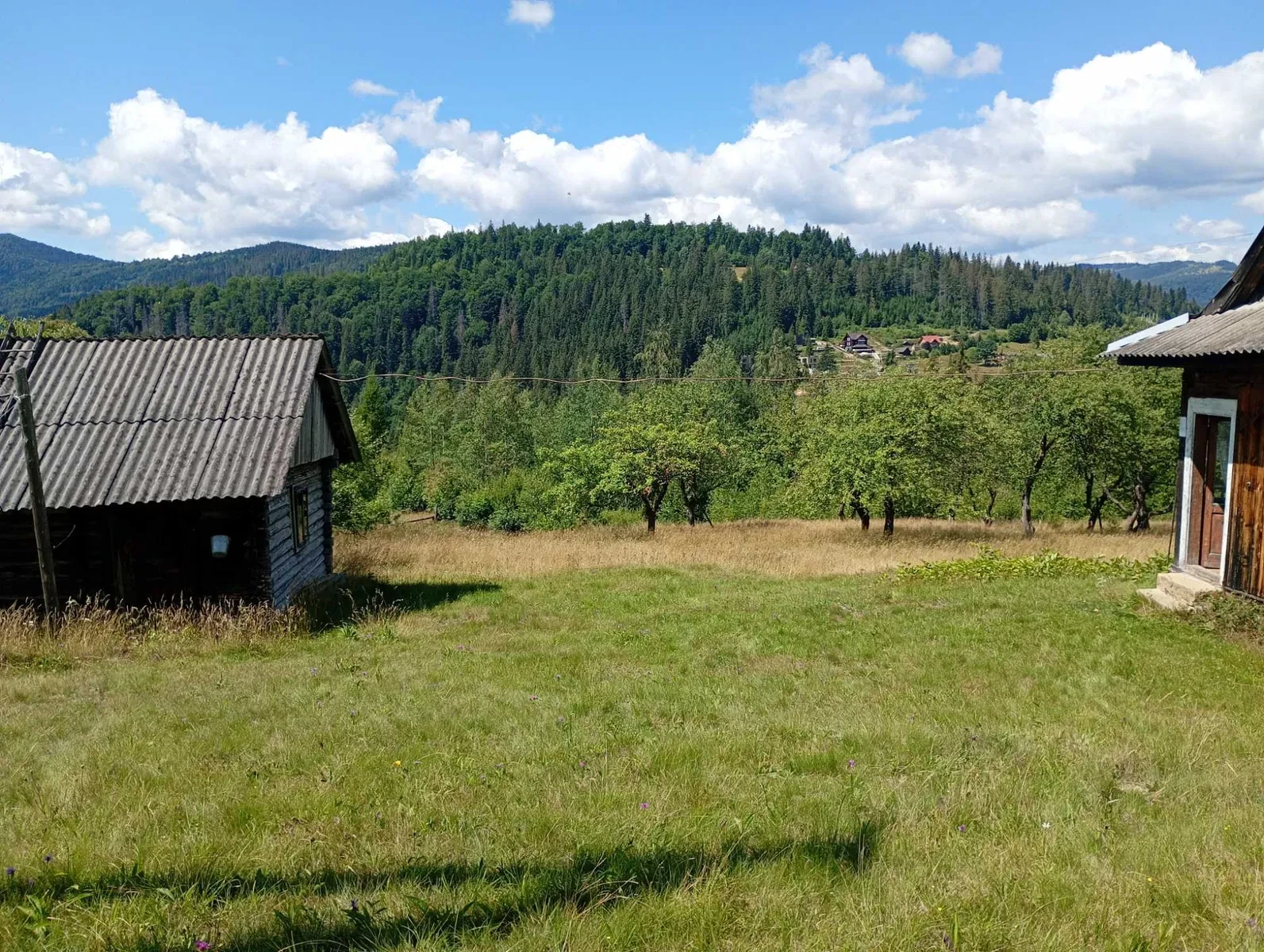 Ділянка 128 соток, Микуличин: електромережа, гори, екопоселення - фото 1