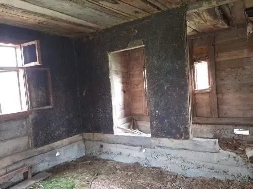 Участок 35 соток, Нижние Гаи: большой сад, нежилой деревянный дом, фото 4