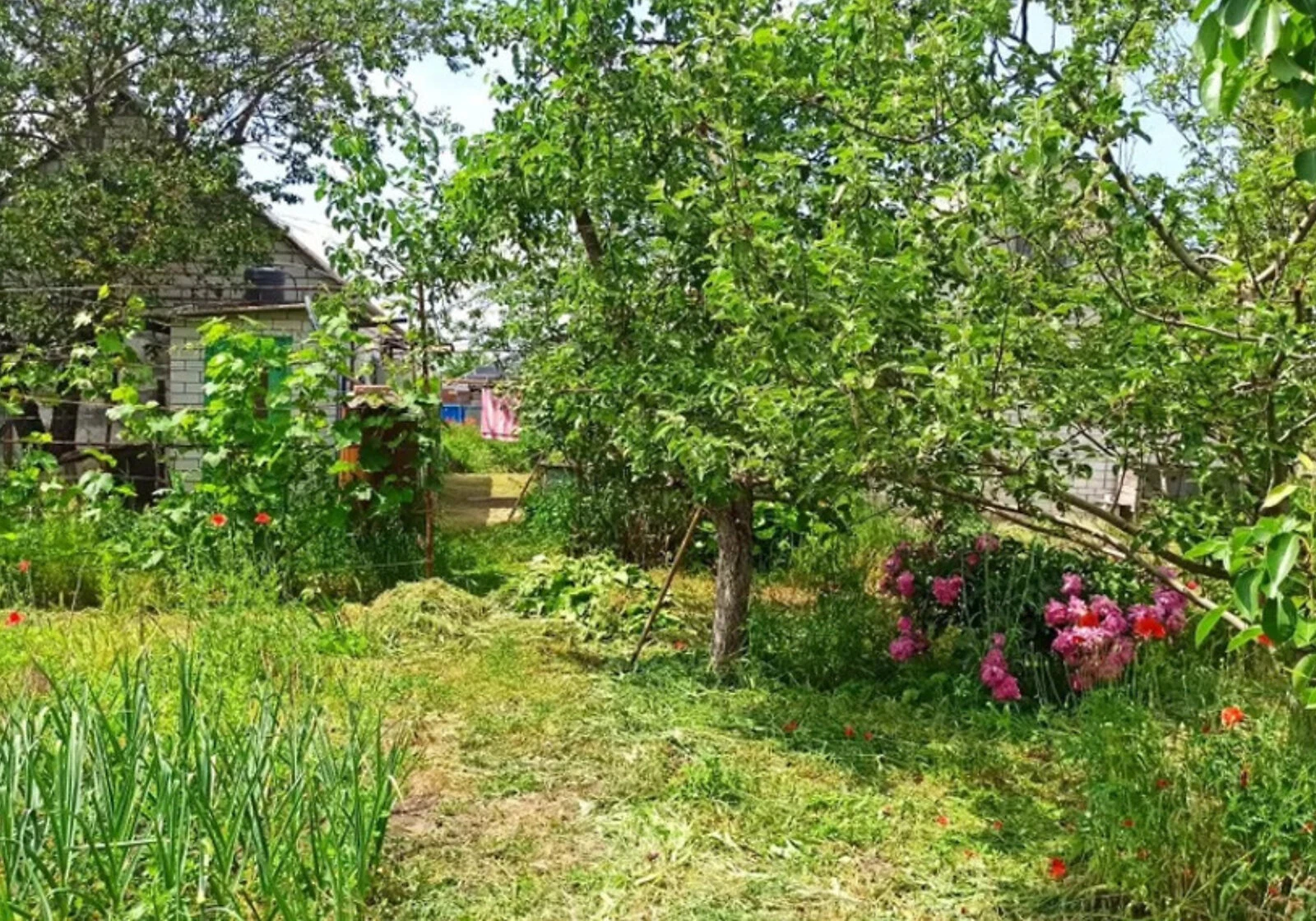 Будинок, Турове: ділянка 15 соток, гараж у дворі, фото 5
