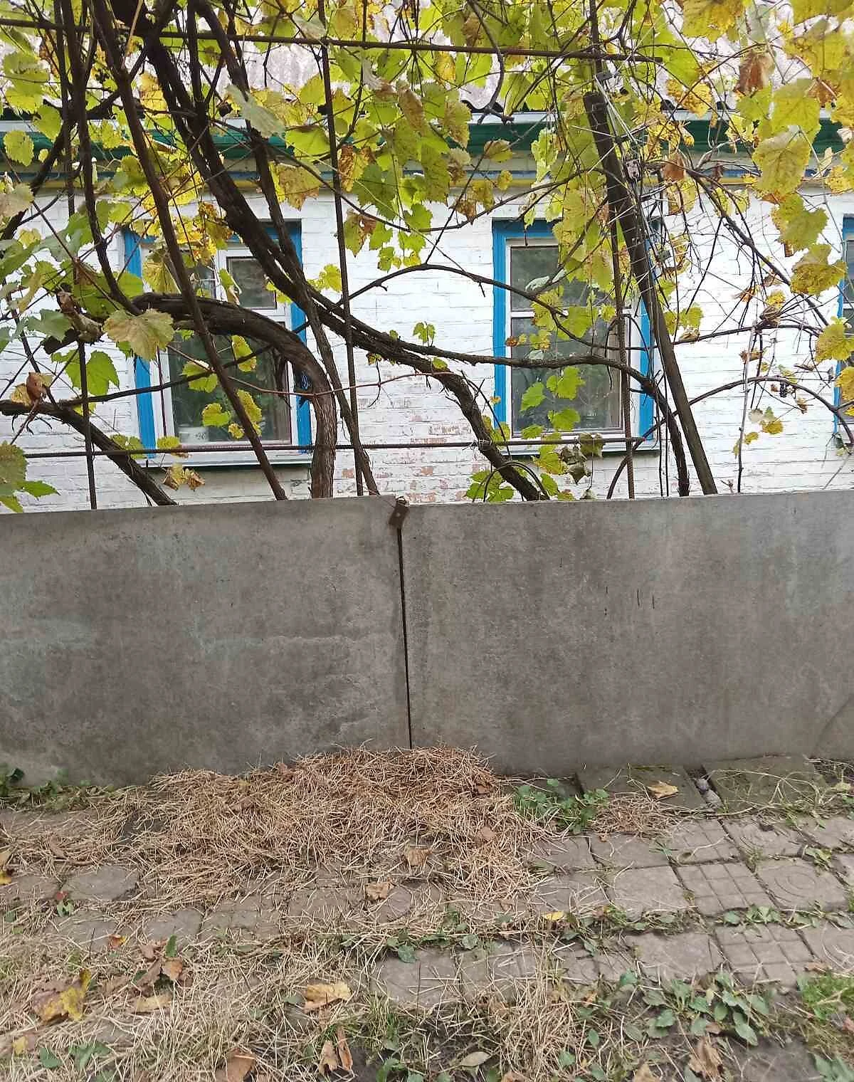 Будинок, Олександрівка: літня кухня, сад, торг - фото 1