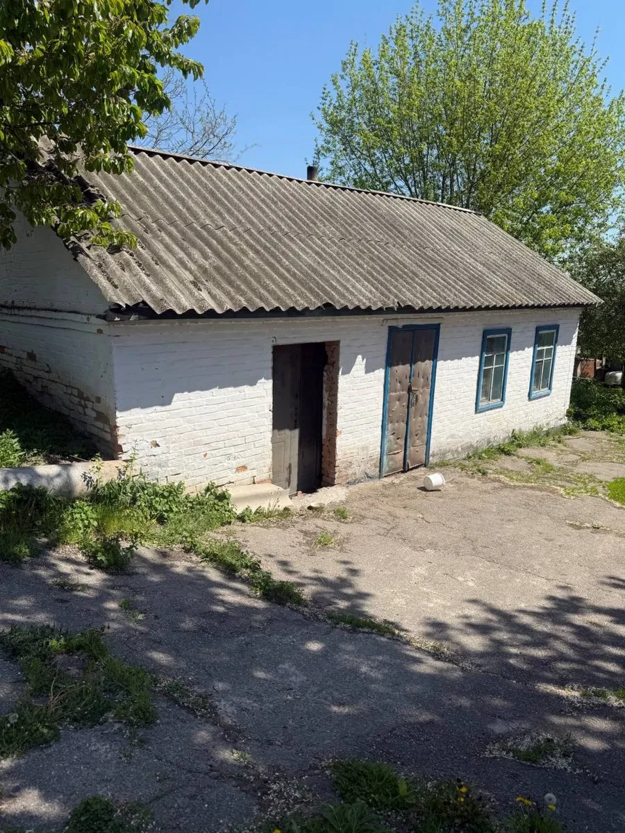 Будинок, Іркліїв: озеро неподалік, два гаражі, розумний торг - фото 4